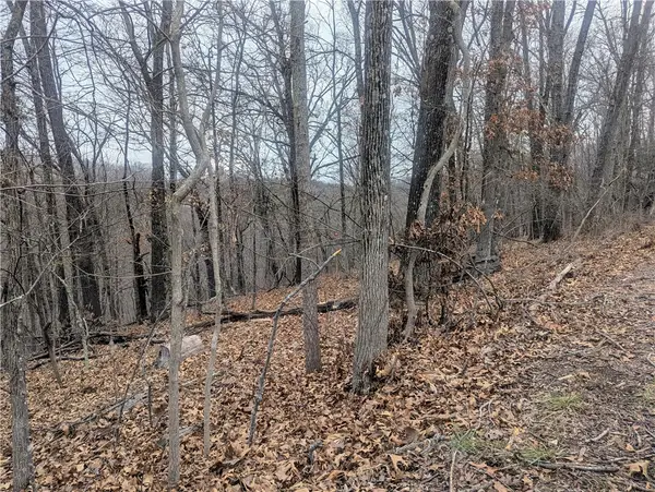 Portsmouth Drive, Bella Vista, AR 72715