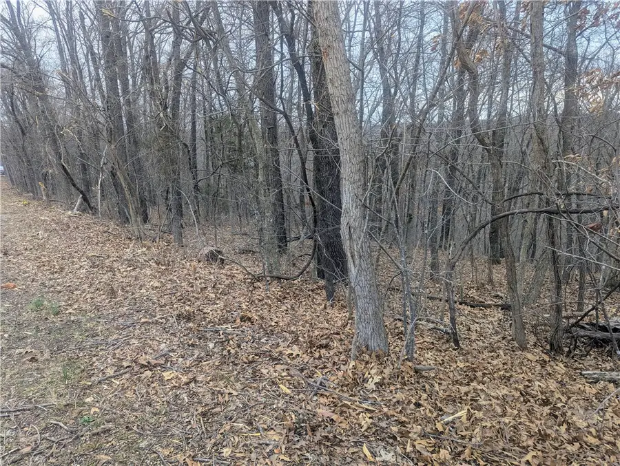 Portsmouth Drive, Bella Vista, AR 72715 - #3