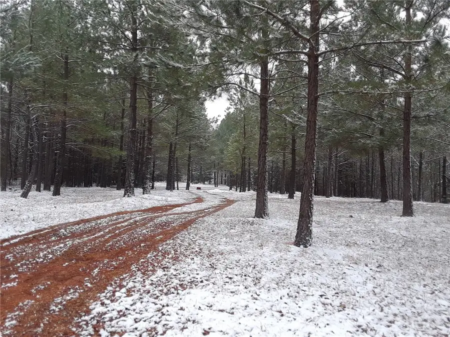 Kintyre Drive, Bella Vista, AR 72715 - #2