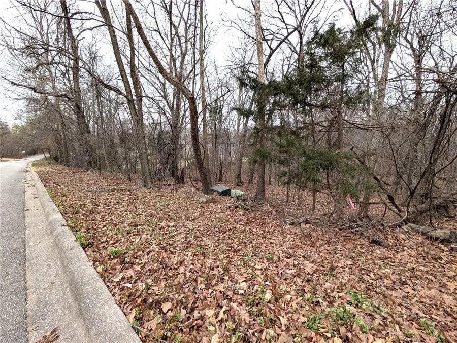 Lot 19 Morganshire Drive, Bella Vista, AR 72714 - #2