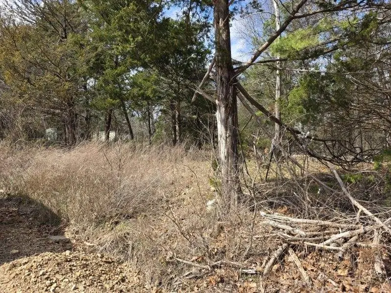 4880 Polite Road, Omaha, AR 72662 - #3