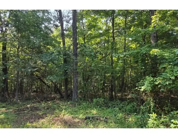 Pamela Lane, Bella Vista, AR 72715