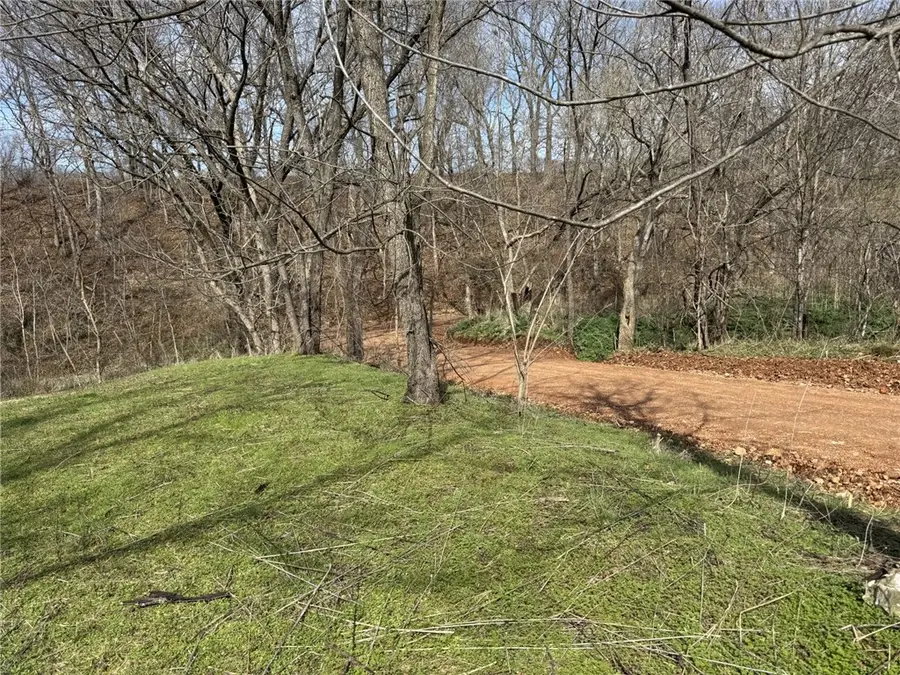 421 Farm Road 2160, Exeter, MO 65647 - #3