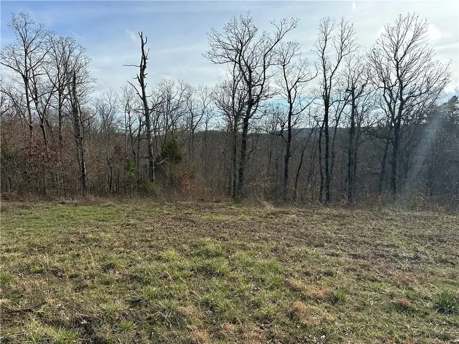 Hwy 327, Deer, AR 72628 - #3