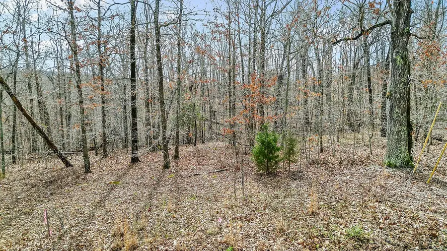 Leona Drive, Bella Vista, AR 72715 - #2