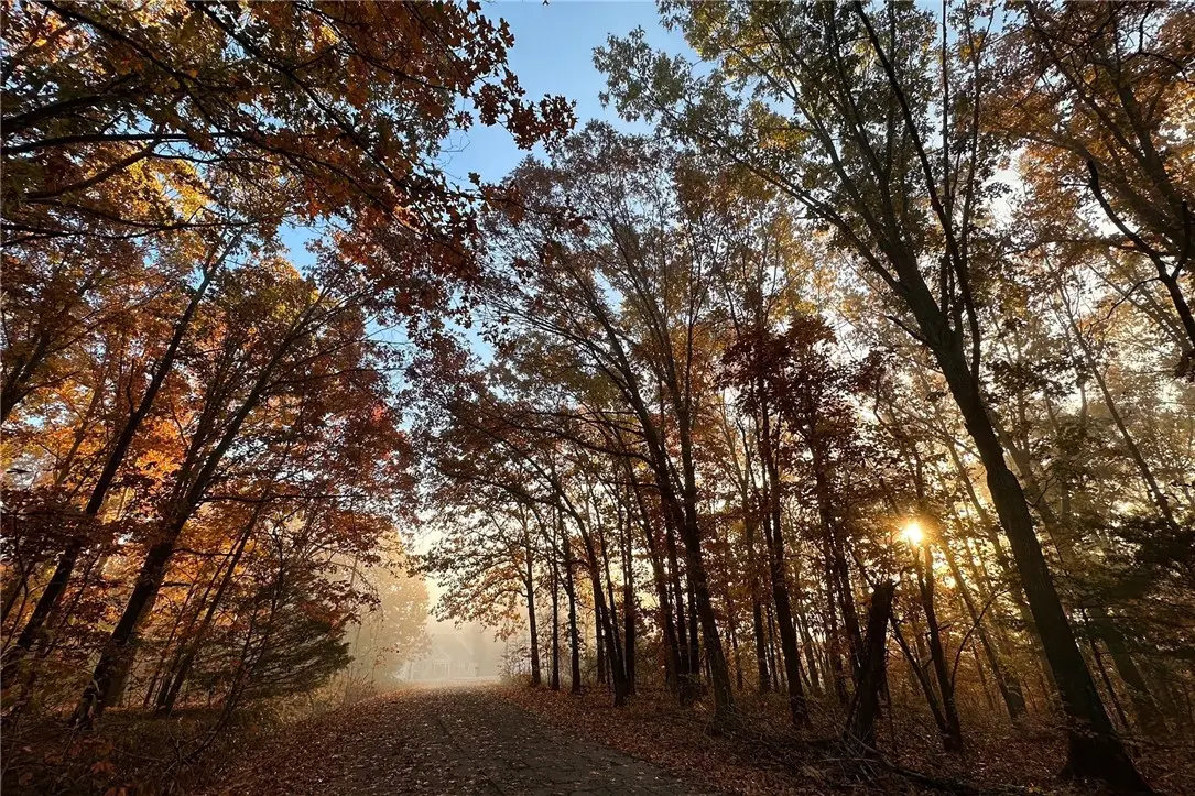 Tummell Drive, Bella Vista, AR 72715 - #1