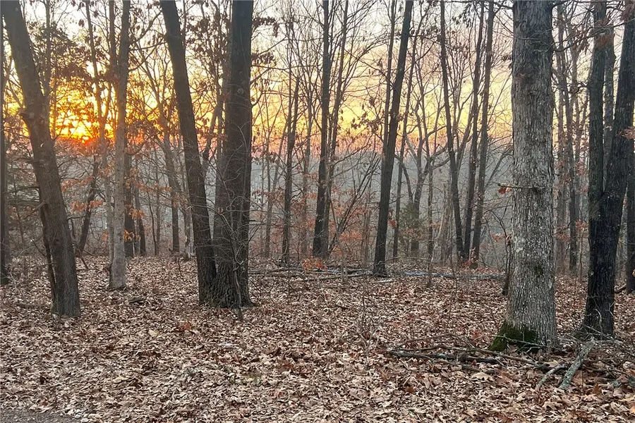 Tummell Drive, Bella Vista, AR 72715 - #2