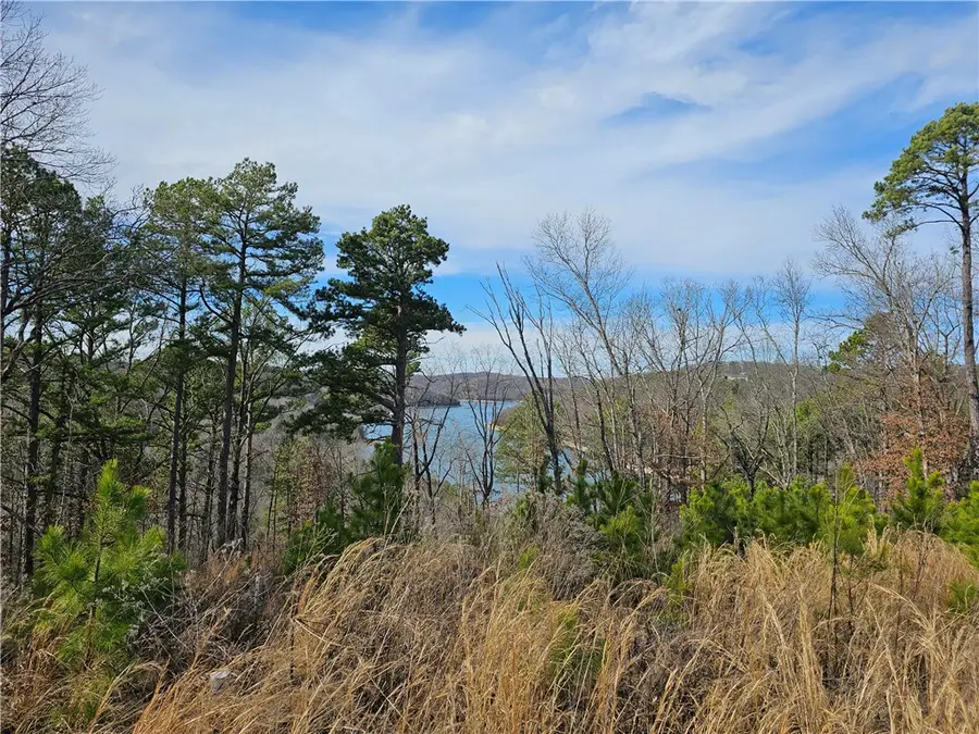 349 Cr-154, Eureka Springs, AR 72632 - #3