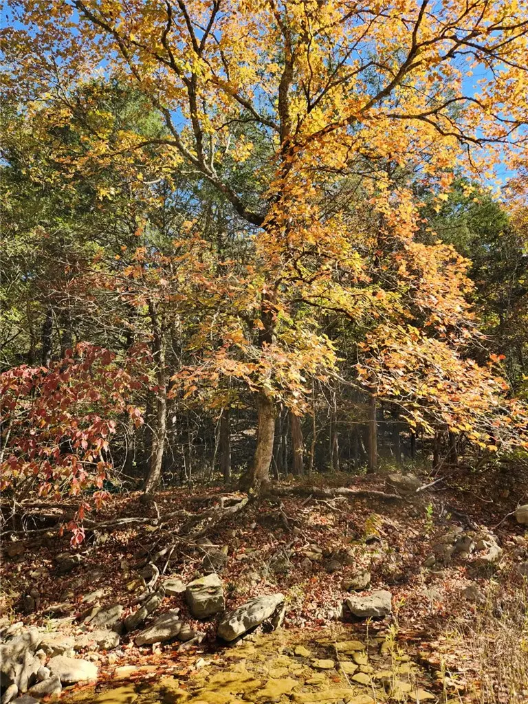 North Of Cr 1088, Mountain Home, AR 72653 - #3