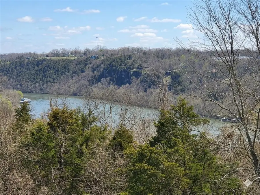 1367 Mtn Grove Road, Branson, MO 65616 - #3