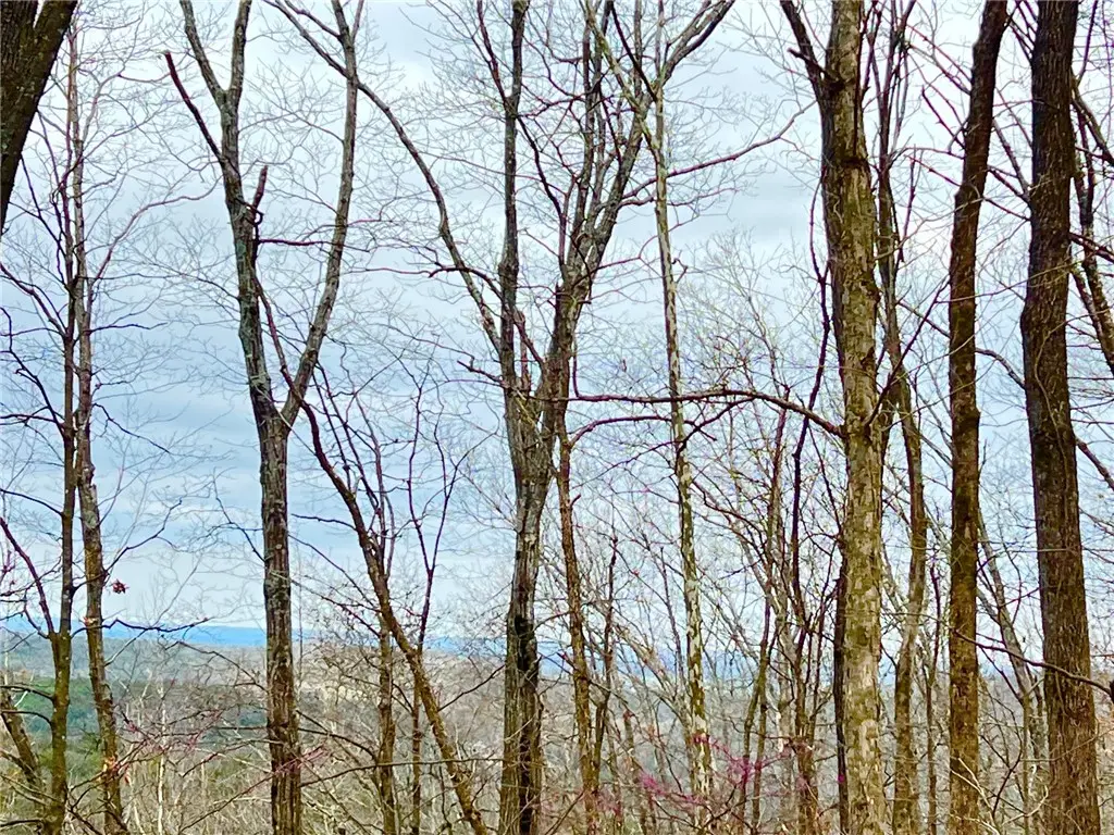 TBD Cr 246 265-00160-000, Berryville, AR 72616 - #1