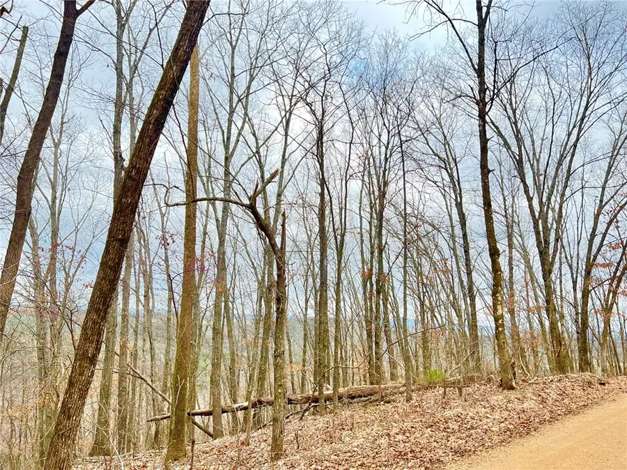 TBD Cr 246 265-00160-000, Berryville, AR 72616 - #3