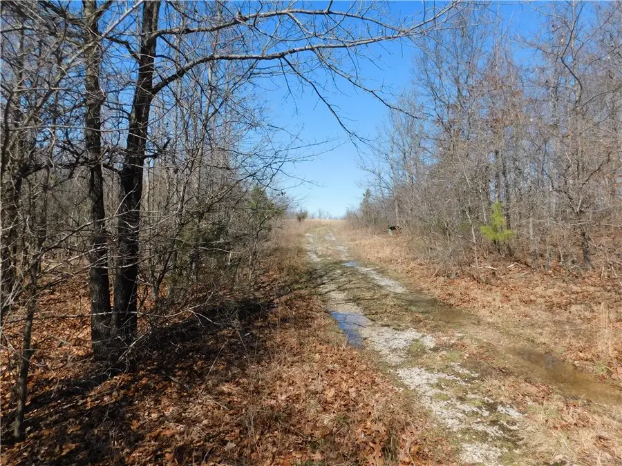 1144 Sr 16, Pelsor, AR 72856 - #3