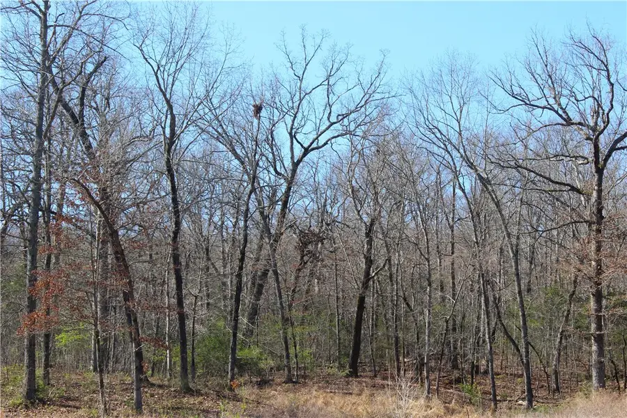 3735 N Sugarberry Lane, Springdale, AR 72764 - #3