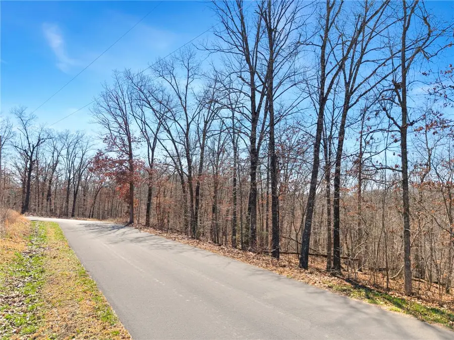 Grantham Drive, Bella Vista, AR 72714 - #2