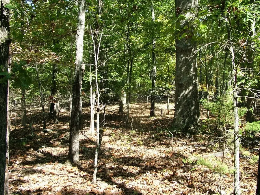 Tracts A,B,C,D Rocky Ridge Road, Mountain Home, AR 72653 - #3