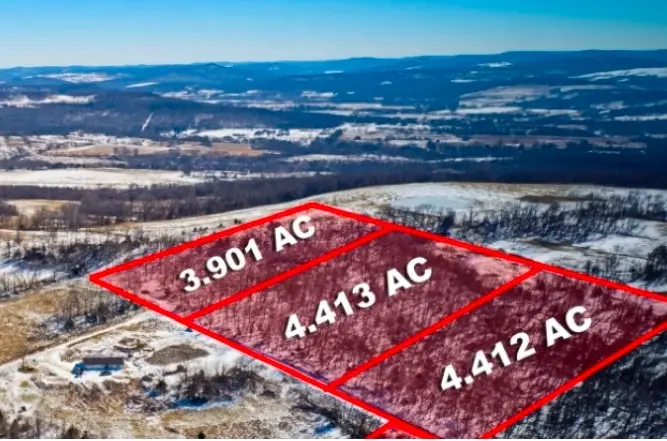 2034 Madison County Rd 7075, Hindsville, AR 72738 - #1