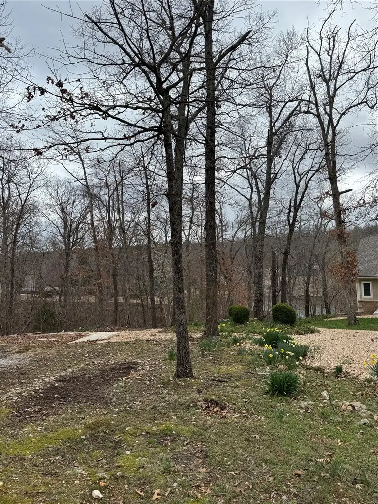 Cheviot Place, Bella Vista, AR 72715 - #2