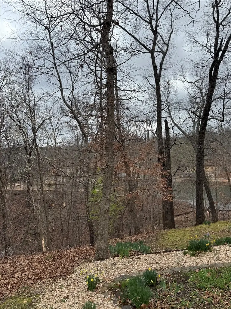 Cheviot Place, Bella Vista, AR 72715 - #3