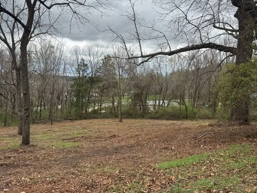 TDB Mccoy Drive, Harrison, AR 72601 - #2