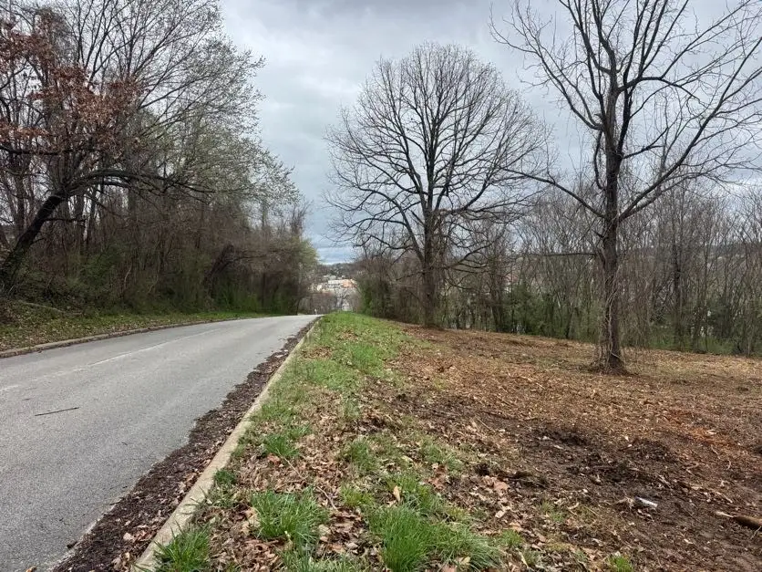 TDB Mccoy Drive, Harrison, AR 72601 - #3