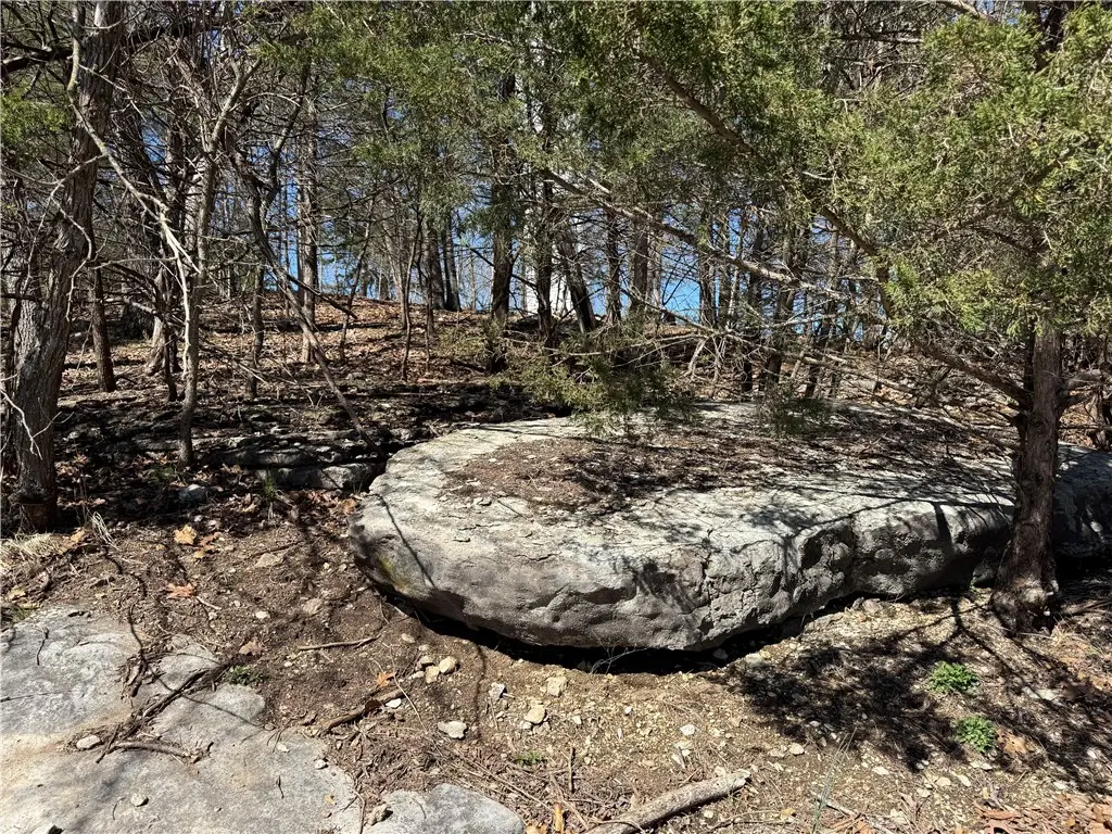 Rocky Top Circle, Holiday Island, AR 72631 - #1