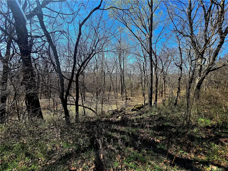 19743 Hale Mountain Road, Canehill, AR 72717 - #2