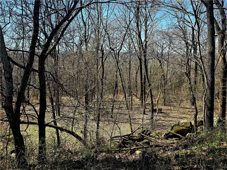 19743 Hale Mountain Road, Canehill, AR 72717 - #3