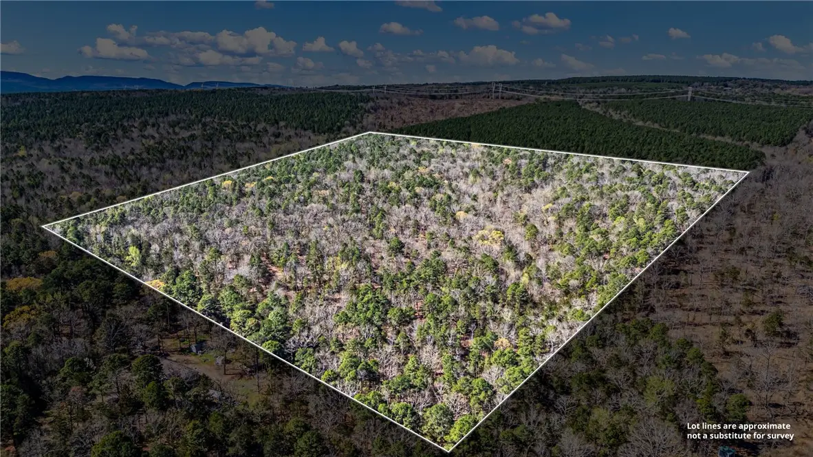 Riverside Road, Delaware, AR 72835 - #1