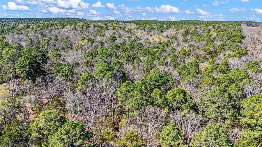 Riverside Road, Delaware, AR 72835 - #3