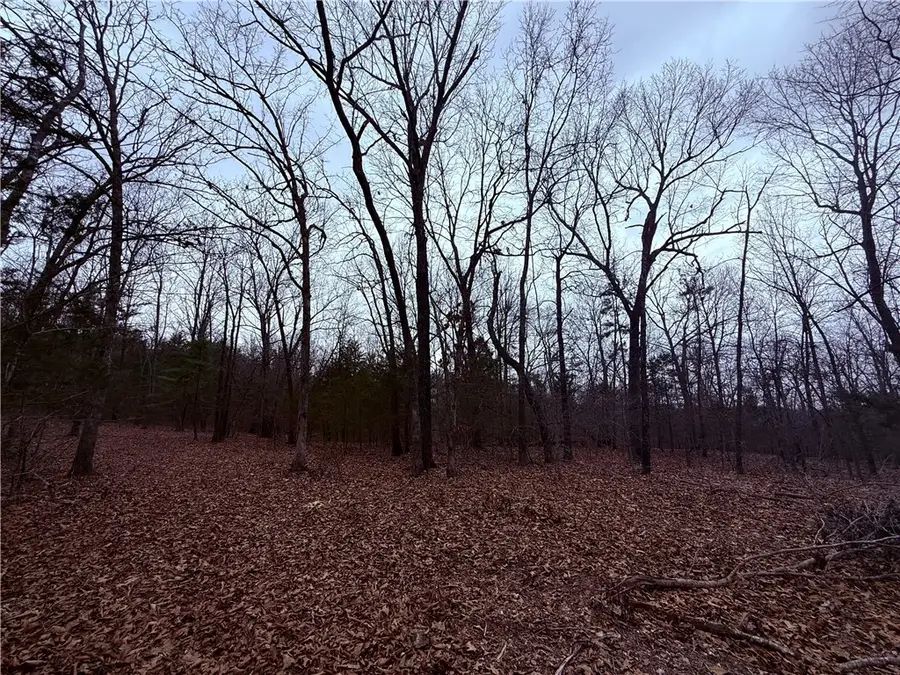 Mc 8123, Peel, AR 72668 - #2