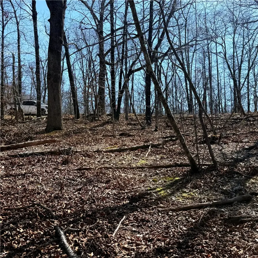 Lot 8 Sheffield Drive, Bella Vista, AR 72714 - #2