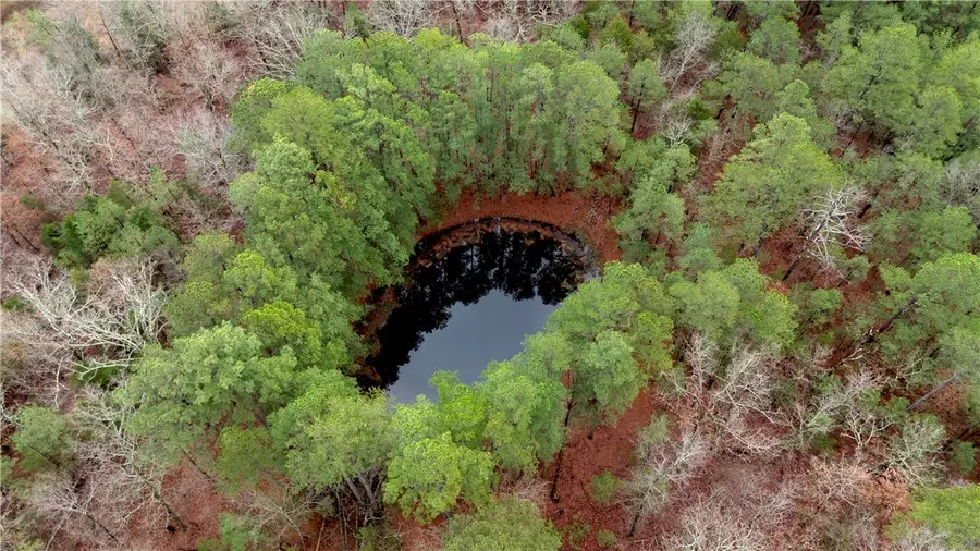 0000 Hwy 21 S, Berryville, AR 72616 - #2