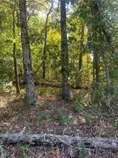 Letchworth Drive, Bella Vista, AR 72714 - #1