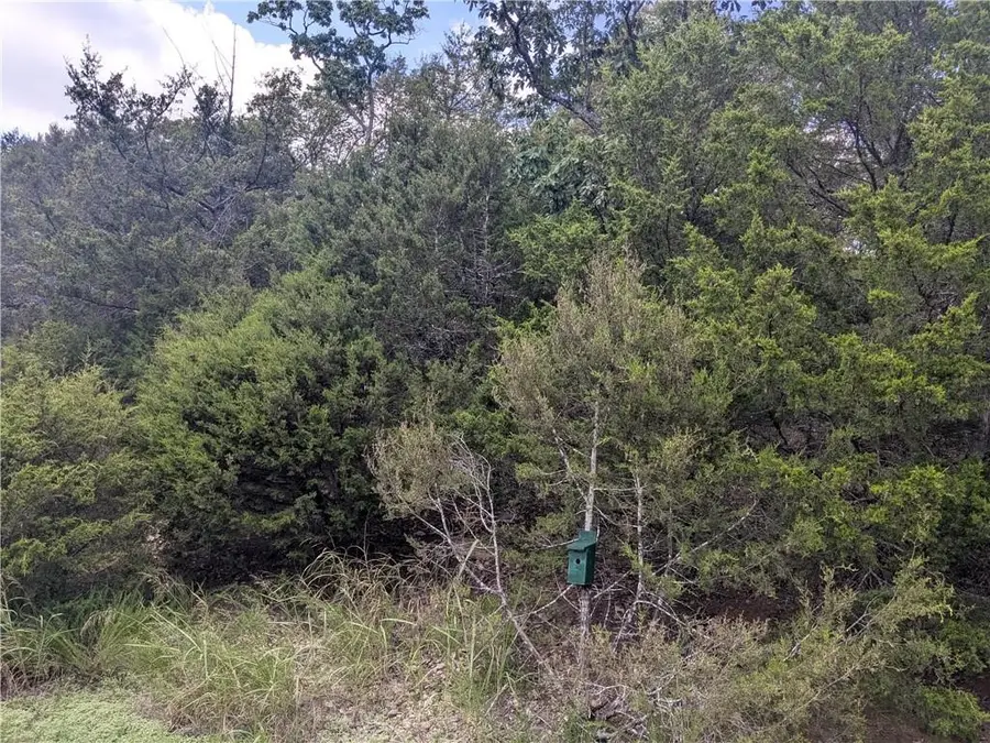 TBD Holiday Island, Holiday Island, AR 72631 - #2