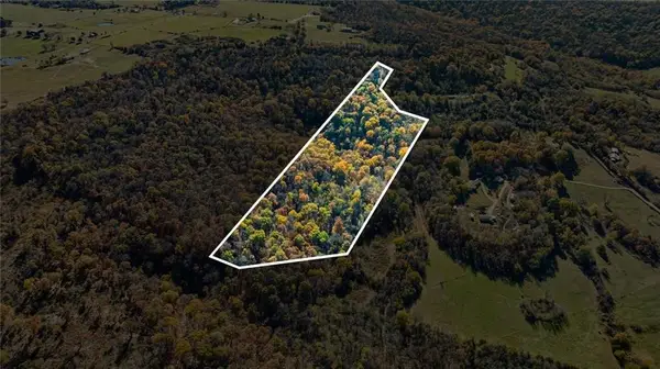 18026 N Skylight Mountain Road, Canehill, AR 72717