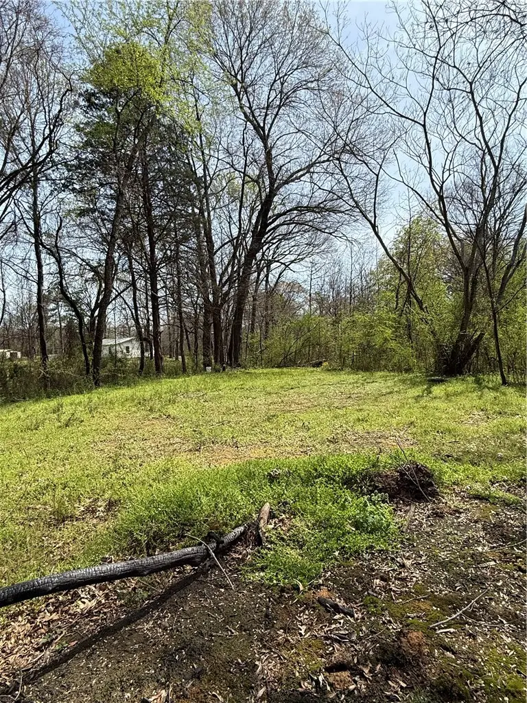 10264 Arcadia Lane, Dardanelle, AR 72834 - #3