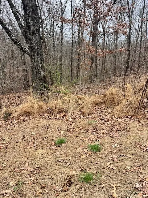 Sanquhar Lane, Bella Vista, AR 72715 - #2