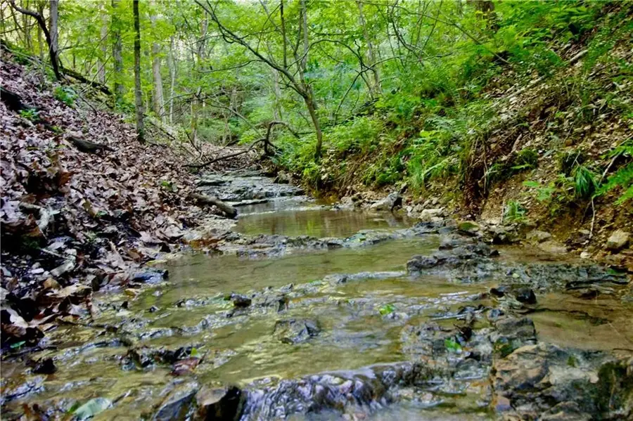 000 Cr 108, Eureka Springs, AR 72632 - #2