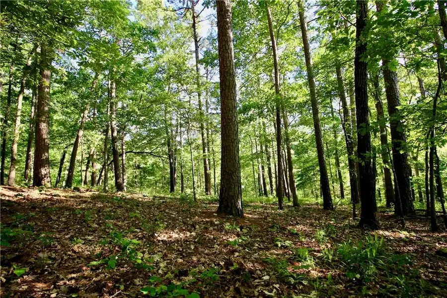 000 Cr 108, Eureka Springs, AR 72632 - #3