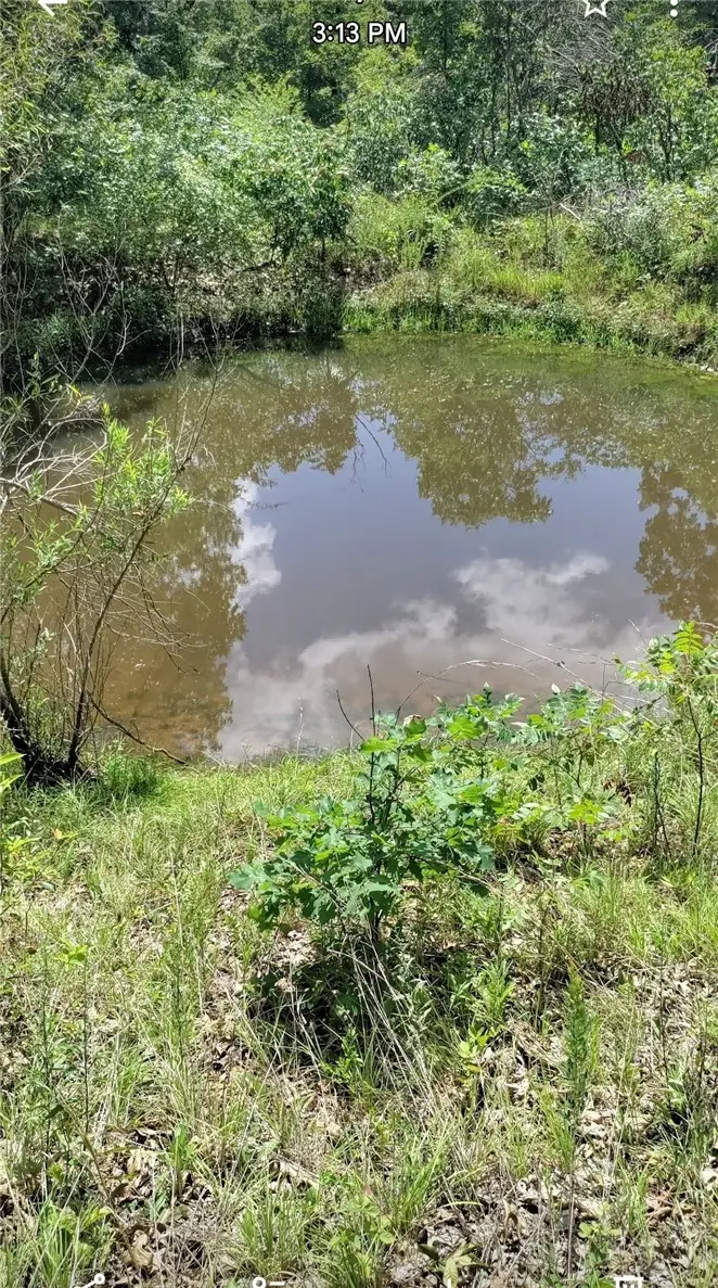 10349 Madison 3605, Kingston, AR 72742 - #2