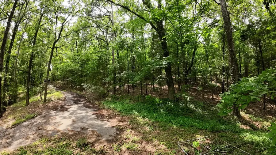 000 Long Gum Lane, Russellville, AR 72802 - #3