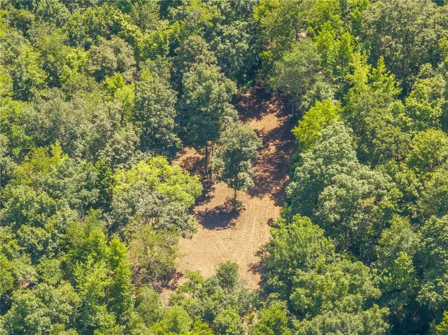 TBD Big Bear Canyon Trail, Chester, AR 72934 - #3