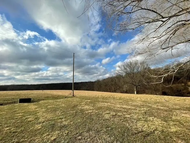 439 Crossing Road, Stella, MO 64867 - #2