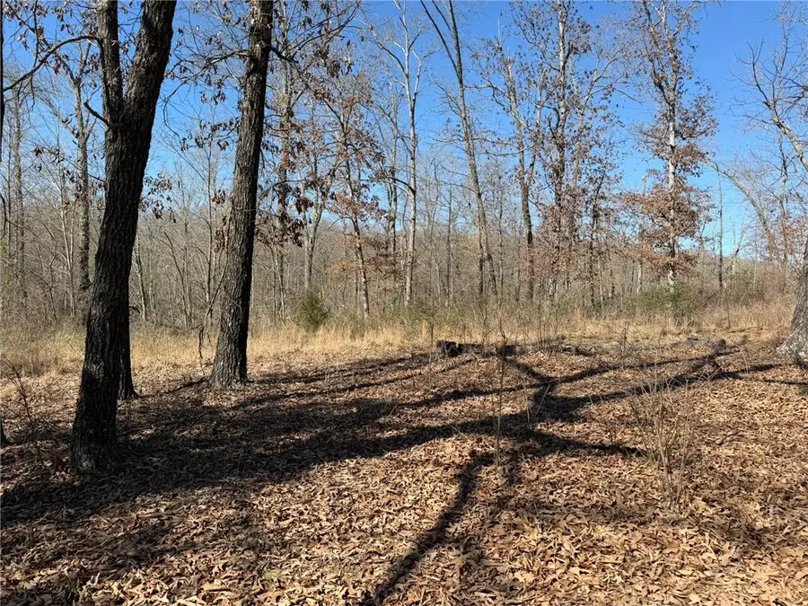 35619 E Spur 23 Street, Huntsville, AR 72740 - #3