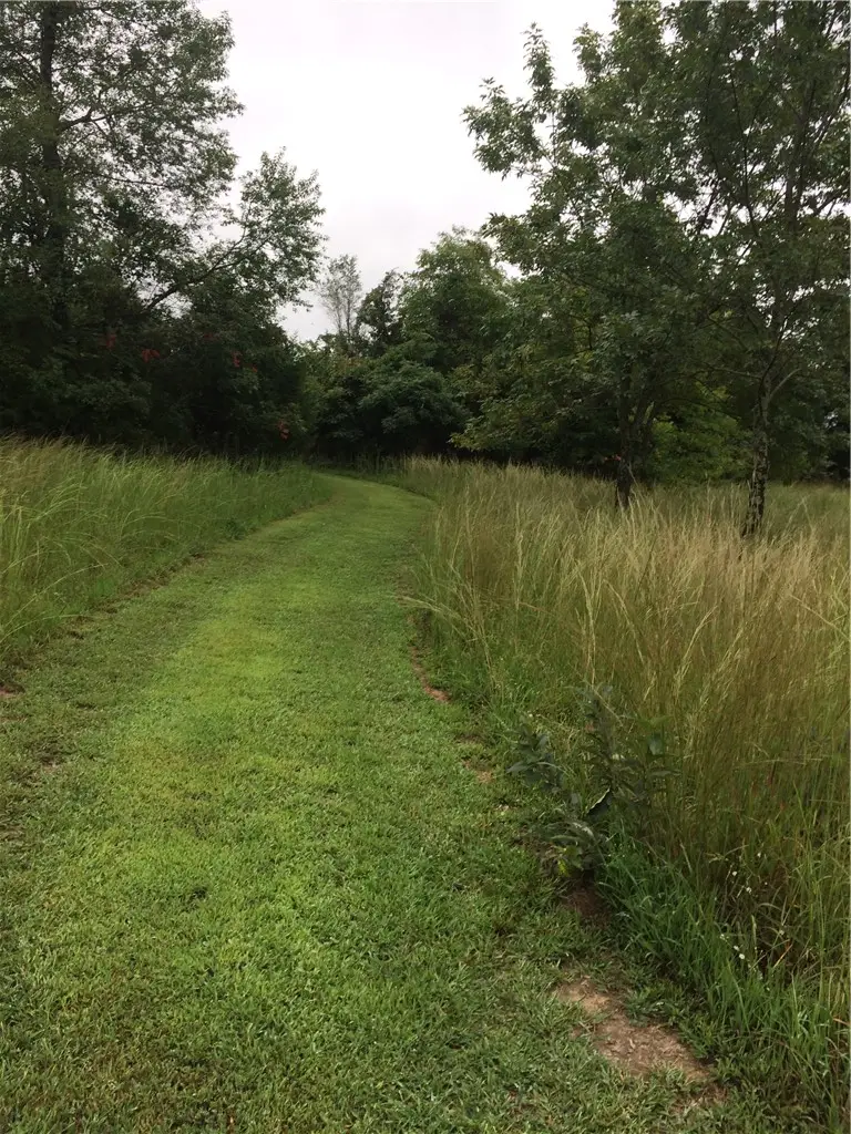 Madison 7125, Hindsville, AR 72738 - #3