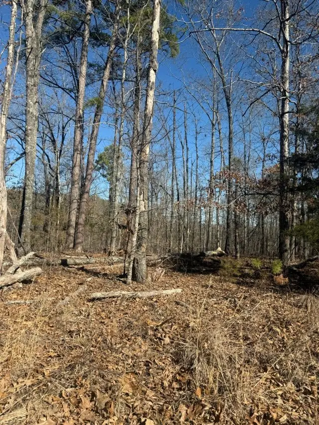 001-03779-000 Mc 5030, Yellville, AR 72687 - #2