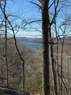 270 Jackson Ridge Road, Eureka Springs, AR 72631 - #2