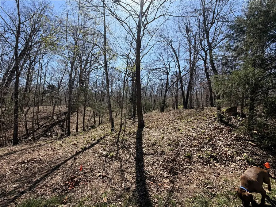 3820 Bridlewood Drive, Springdale, AR 72764 - #3