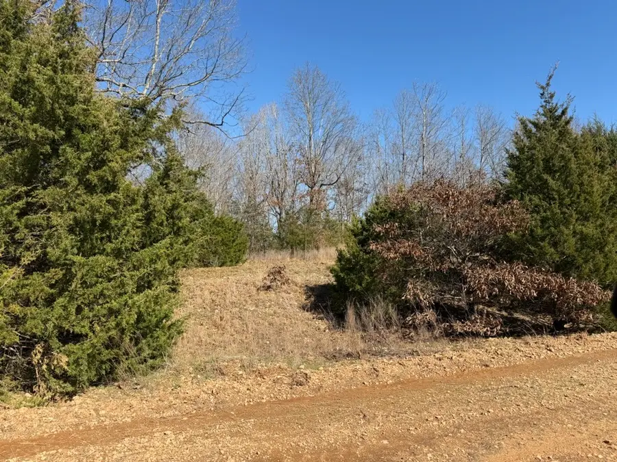 Mc 3015 72687 Road, Pyatt, AR 72672 - #3